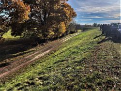 Besichtigung des Rehwischdeiches bei Wittenberge. Foto: Landkreis Prignitz