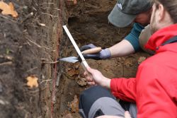 Bei den Ausgrabungen in Kletzke ist präzise Arbeit gefragt. (Foto: Simone_Ahrend)